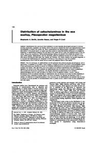 Distribution of catecholamines in the sea scallop, Placopecten ...