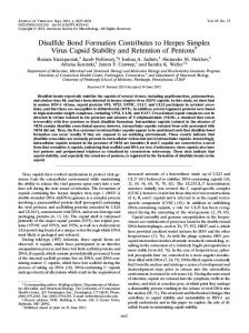 Disulfide Bond Formation Contributes to Herpes ... - Journal of Virology