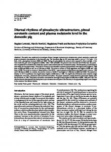 Diurnal rhythms of pinealocyte ultrastructure ... - Semantic Scholar