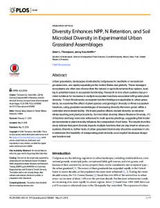 Diversity Enhances NPP, N Retention, and Soil