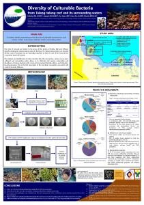 Diversity of Culturable Bacteria