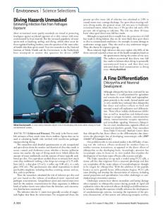 Diving Hazards Unmasked A Fine Differentiation - Environmental ...