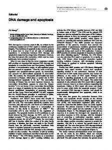 DNA damage and apoptosis - Nature