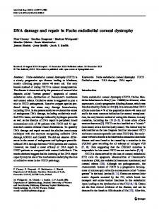 DNA damage and repair in Fuchs endothelial corneal ... - Springer Link