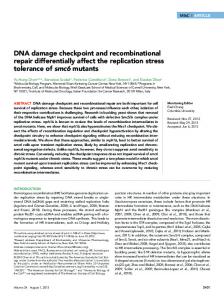 DNA damage checkpoint and recombinational repair ... - BioMedSearch