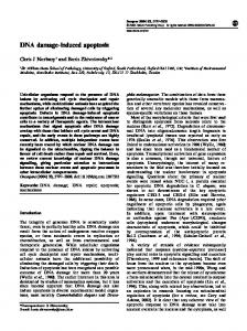 DNA damage-induced apoptosis - Nature