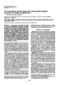 DNA-dependent protein kinase (Ku protein-p350 complex) - NCBI