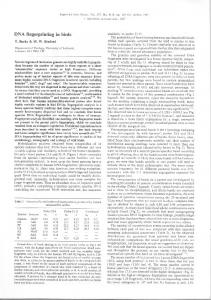 DNA fingerprinting in birds