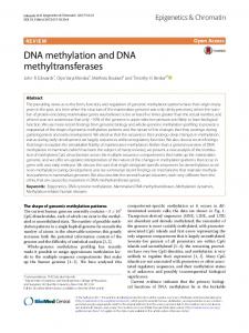 DNA methylation and DNA methyltransferases - Core
