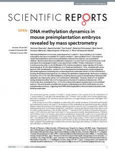 DNA methylation dynamics in mouse