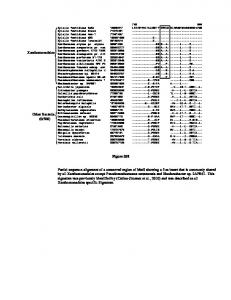 DNA mismatch repair protein MutS - PLOS