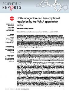 DNA recognition and transcriptional regulation by