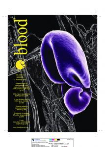 DNA repair regulated by SLX4 protein