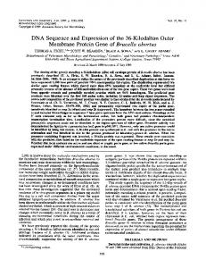 DNA Sequence and Expression of the 36-Kilodalton Outer Membrane ...