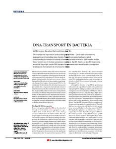 dna transport in bacteria - Nature