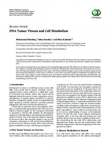 DNA Tumor Viruses and Cell Metabolism