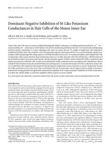 Dominant-Negative Inhibition of M-Like Potassium ... - Semantic Scholar