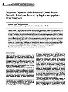 Dopamine Depletion of the Prefrontal Cortex Induces Dendritic Spine ...