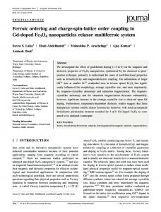 doped Fe3O4 nanoparticles relaxor