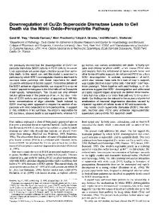 Downregulation of Cu/Zn Superoxide Dismutase Leads to Cell Death ...