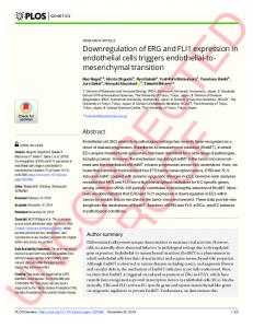 Downregulation of ERG and FLI1 expression in endothelial ... - PLOS