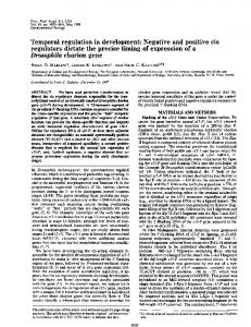 Drosophila chorion gene - PNAS