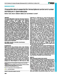 Drosophila dany is essential for transcriptional control ... - Development