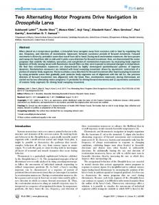 Drosophila Larva - PLOS