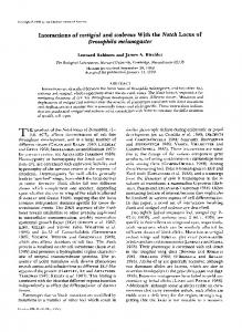 Drosophila melanogaster - Genetics