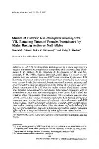 Drosophila melanogaster - Springer Link