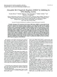 Drosophila Mi-2 Negatively Regulates dDREF by Inhibiting Its DNA ...