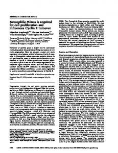 Drosophila Minus is required for cell proliferation and influences ...