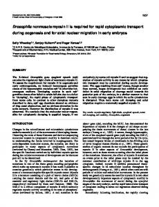 Drosophila nonmuscle myosin II is required for rapid cytoplasmic ...