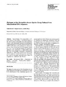 Drosophila obscura - Springer Link