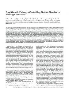 Dual Genetic Pathways Controlling Nodule Number ... - Plant Physiology