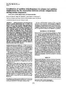 during ureide biogenesis - Europe PMC