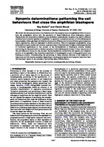 Dynamic determinations: patterning the cell