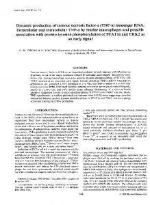 Dynamic production of tumour necrosis factor-cs (TNF-a ... - NCBI