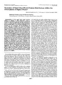 Dynamics of Small Heat Shock Protein Distribution within the ...