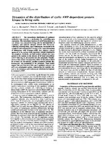 Dynamics of the distribution of cyclic AMP-dependent ... - Europe PMC