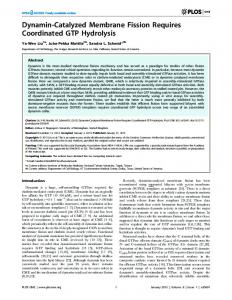 Dynamin-Catalyzed Membrane Fission Requires ... - Semantic Scholar