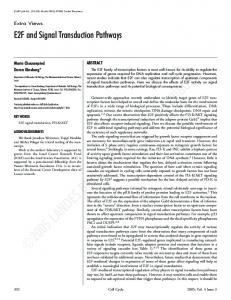 E2F and Signal Transduction Pathways