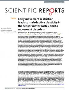 Early movement restriction leads to maladaptive