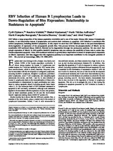 EBV Infection of Human B Lymphocytes Leads to ... - Semantic Scholar