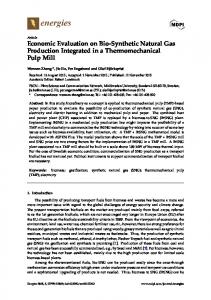 Economic Evaluation on Bio-Synthetic Natural Gas Production ...