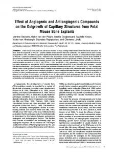 Effect of Angiogenic and Antiangiogenic Compounds on the ... - Nature