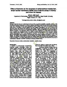 Effect of benzene on the enzymes of carbohydrate metabolism, brush ...