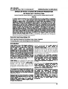 EFFECT OF FAECAL SLUDGE ON CABBAGE PRODUCTION ...