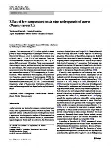 Effect of low temperature on in vitro androgenesis of ...