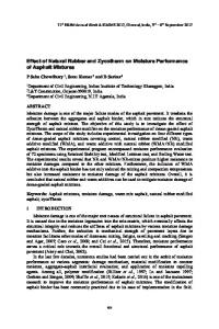 Effect of Natural Rubber and Zycotherm on Moisture